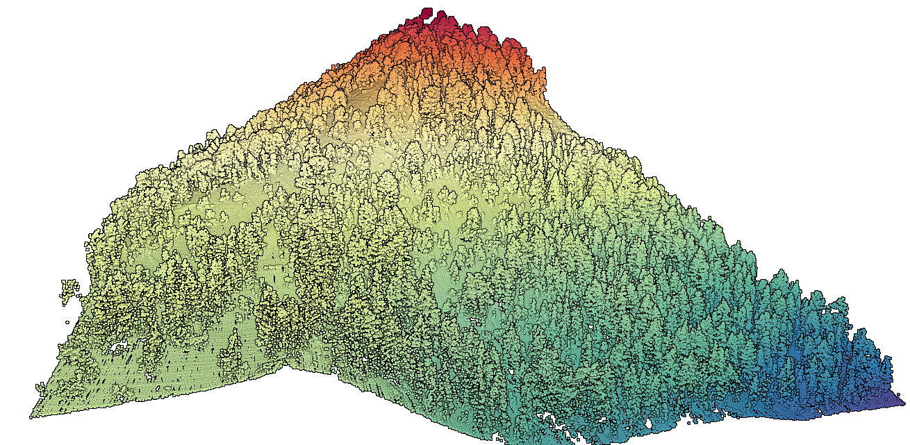 Elevation Point Cloud of Forested Slope Near Mammoth Lakes, CA