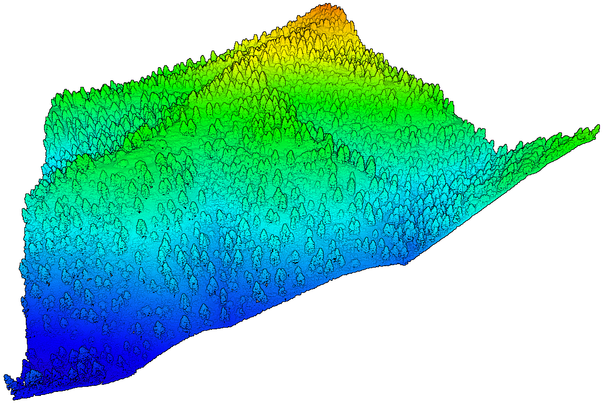 Elevation Point Cloud of Forested Slope in the Idaho Batholith